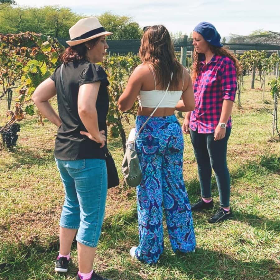 Enjoy a Rural Experience in a Vineyard near Buenos Aires - Who will enjoy this private vineyard day