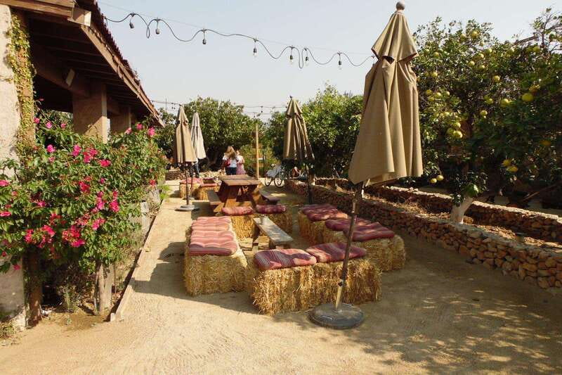 Ensenada: Guadalupe Valley Wine Route Private Tour - Key points to know before you book