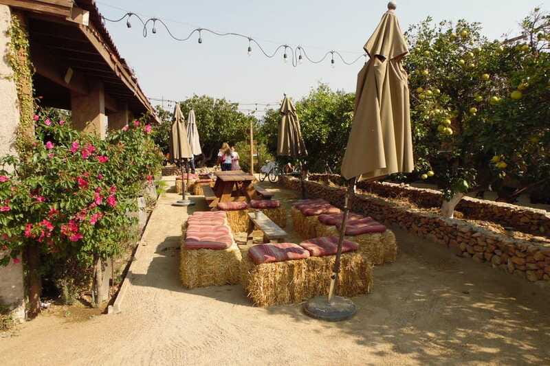 Ensenada: Guadalupe Valley Wine Route Private Tour - What the wine-making lesson adds