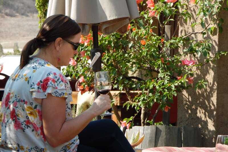 Ensenada: Guadalupe Valley Wine Route Private Tour - The restaurant stop and the real cost of the day