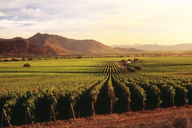 Ensenada Shore Excursion: Entre Santos and El Cielo Winery Tours with Lunch - Key points to know before booking