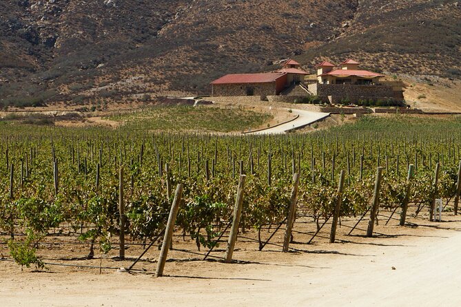 Ensenada Shore Excursion: Entre Santos and El Cielo Winery Tours with Lunch - Who will enjoy this tour most
