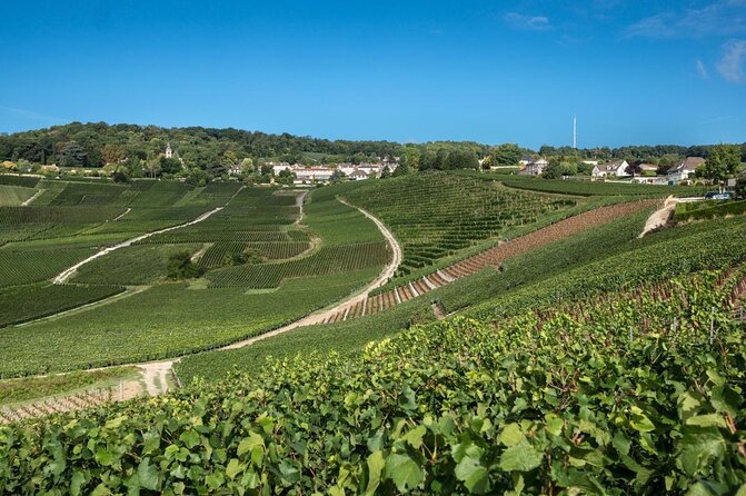 Epernay and Vineyards with Champagne Tasting - Key points to know before booking