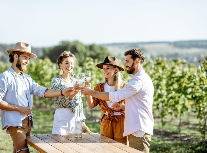 Ercolano vineyards, view cellar wine tasting and brunch - Walking Ercolano’s Terraced Vineyards Above the Gulf