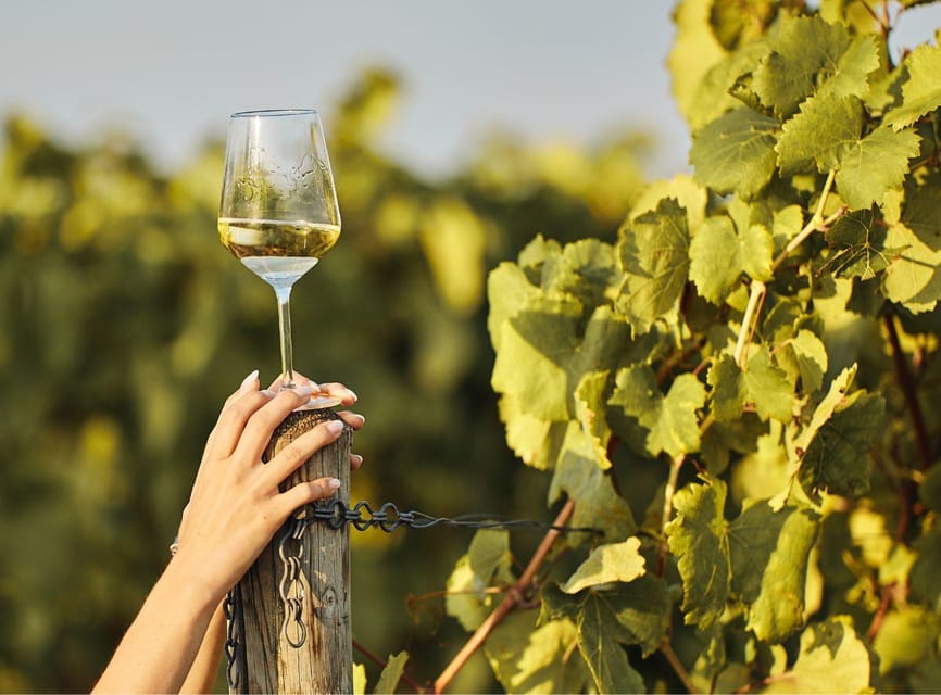 Ercolano vineyards, view cellar wine tasting and brunch - Entering the Natural Lava-Stone Cellar
