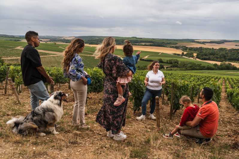 Escapade and tasting in the Chablis vineyards - Why This Chablis Tour Feels Different