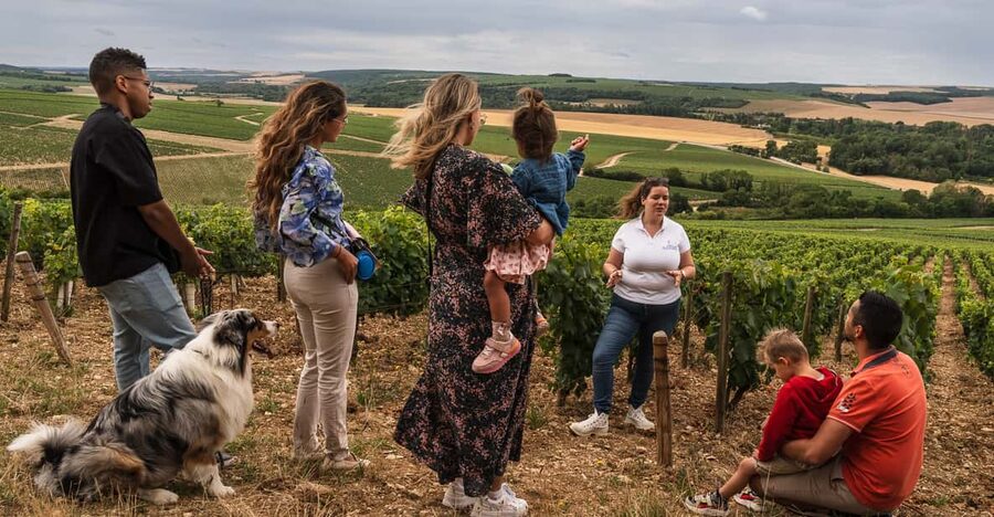 Escapade and tasting in the Chablis vineyards - Five Wines, From Petit Chablis to Premier Cru