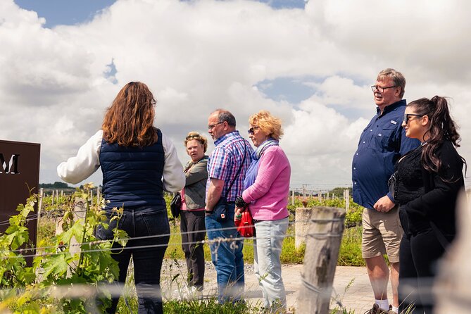 Essential Wine Tour with Tasting & Chateau Visits from Bordeaux - Médoc or Pessac-Léognan: what the route means