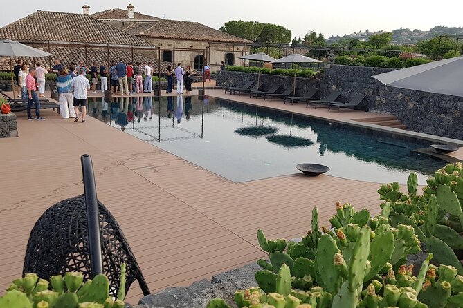 Etna Easy & Winery from Messina, Catania or Taormina/G. Naxos - Two hours at Cantine Murgo