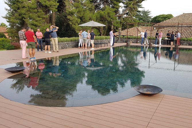 Etna Easy & Winery from Messina, Catania or Taormina/G. Naxos - Who will enjoy this outing most?