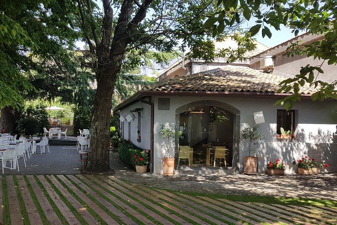 Etna Easy & Winery from Messina, Catania or Taormina/G. Naxos - Booking, changes, and timing