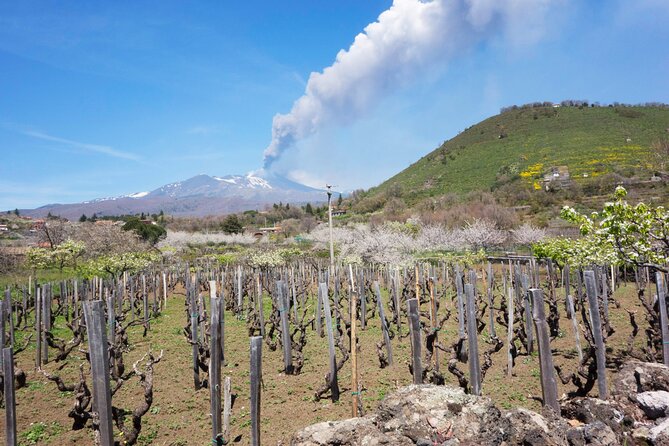 Etna Private tour from Messina Cruise Terminal + Lunch at Winery - Private touring gives you room to adjust the day