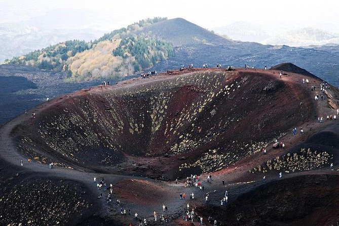 Etna Private tour from Messina Cruise Terminal + Lunch at Winery - Who will enjoy this Etna tour most