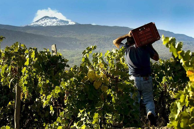 Etna Private tour from Messina Cruise Terminal + Lunch at Winery - The honey shop sets the tone