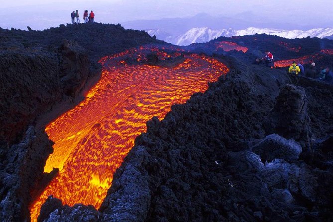 Etna Tour and Lunch in a Winery with Wine Tasting - Gambino Winery and a five-wine lunch