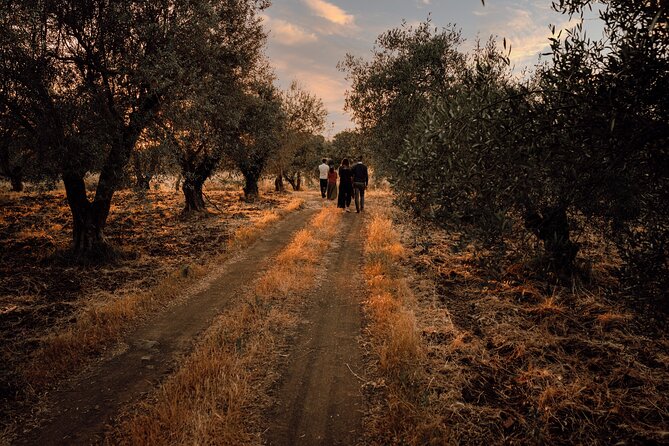 Etna Urban Winery - Sunset vineyard Walk and Tasting Dinner - Timing, shoes, and weather