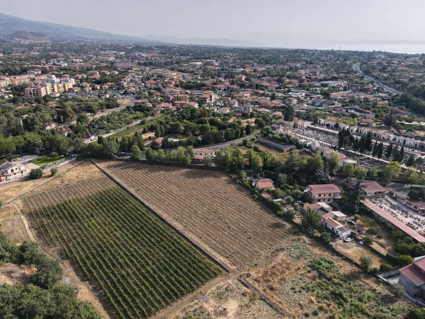Etna Urban Winery, Vineyard Walk & Sunset Tasting Dinner - Practical details before you book
