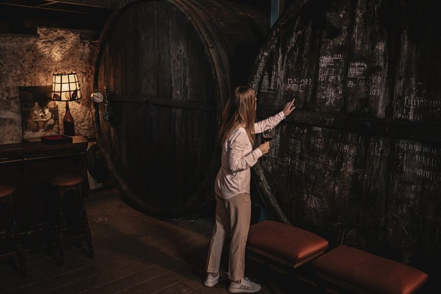 Etna Urban Winery, Vineyard Walk & Sunset Tasting Dinner - The vineyard walk between Catania and Etna
