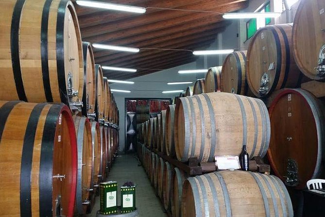 Etna Wine Tasting & Sicilian Lunch –Small Group Tour from Catania - Key points at a glance