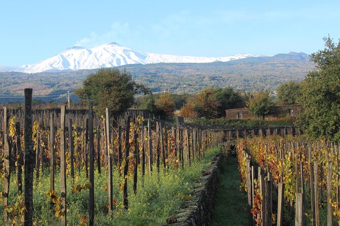 Etna Wine Tasting & Sicilian Lunch –Small Group Tour from Catania - Emilio Sciacca and the main Sicilian lunch