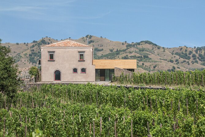 Etna Wine Tasting & Sicilian Lunch –Small Group Tour from Catania - What is missing from the volcano portion
