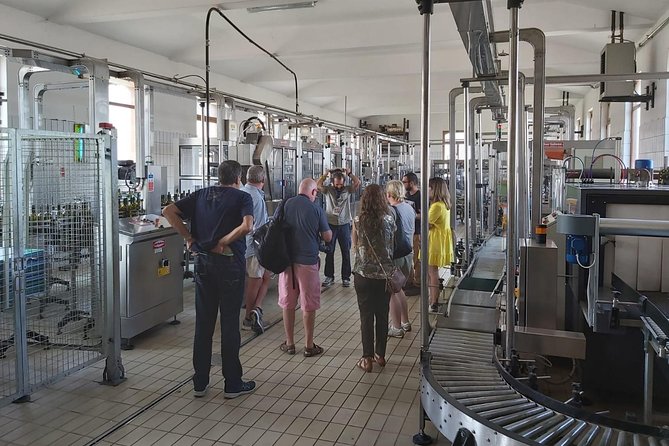Etna Wineries Tour - Small Groups from Taormina - How Much Wine Education Will You Get?