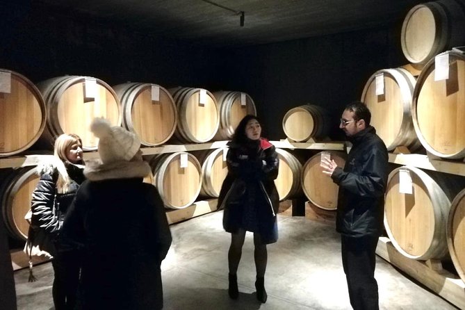 Etna Wineries Tour - Small Groups from Taormina - Timing, Group Size, and Practical Comfort