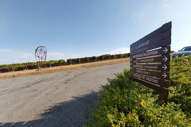 Evora & Alentejo Wine Region Private Luxury Tour - Following the Muralhas de Évora