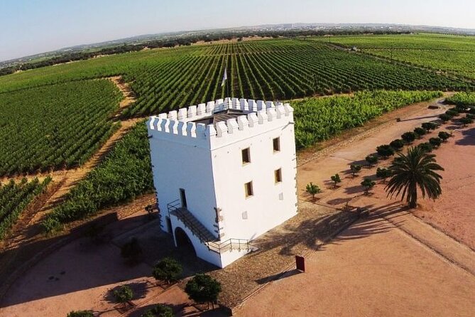 Évora, Esporão Winery & Monsaraz | Exclusive Private Wine Tour - Is the private price worth it?