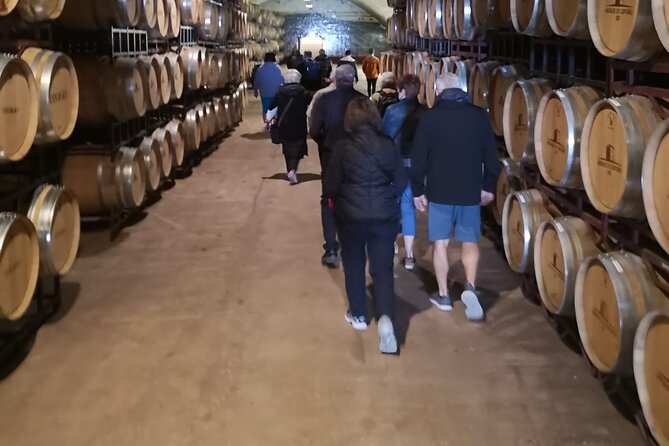 Évora Private Tour - Cork Factory and Wine Estate Included - Cartuxa wine estate and the final tasting