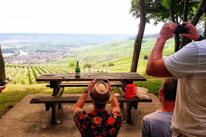 Exclusive Champagne Cellars & Dom Perignon Vineyards tour - Key points to know before booking