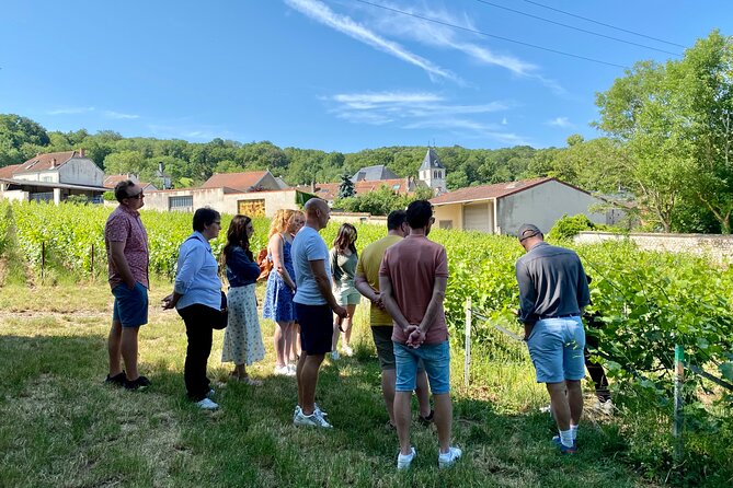 Exclusive Champagne Cellars & Dom Perignon Vineyards tour - Épernay provides the lunch pause