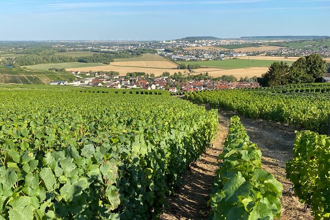 Exclusive Champagne Cellars & Dom Perignon Vineyards tour - Avenue de Champagne shows the industry’s grand side