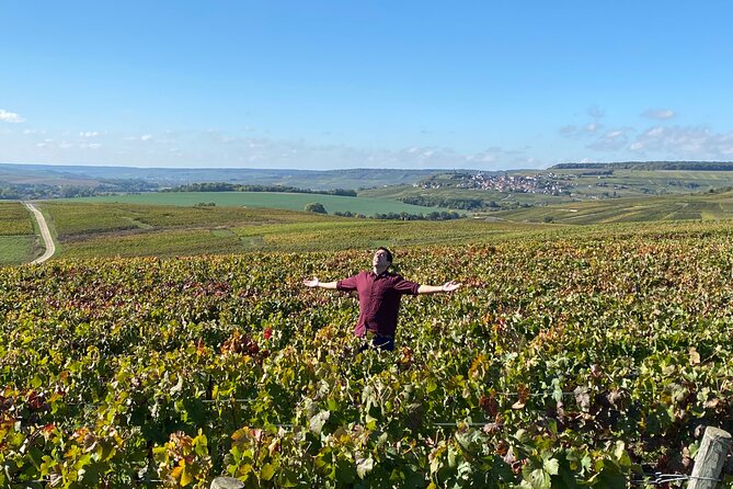 Exclusive Champagne Cellars & Dom Perignon Vineyards tour - Timing, transport, and the practical details