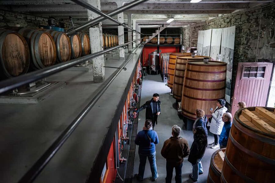 Exclusive Douro Valley: 3 Wineries, 9 Wine Tastings & Lunch - Riverside lunch with DOC Douro wine