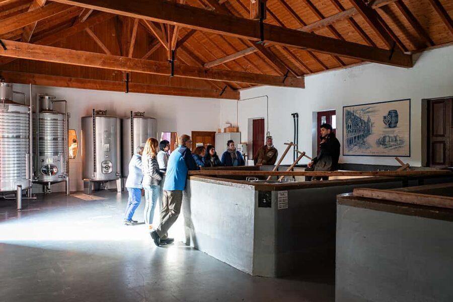 Exclusive Douro Valley: 3 Wineries, 9 Wine Tastings & Lunch - Who will enjoy this day most