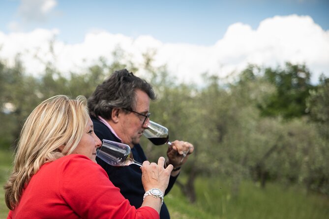Exclusive lunch, Winery tour, Organic wines in Chianti Classico - Lunch on the veranda above the olive trees