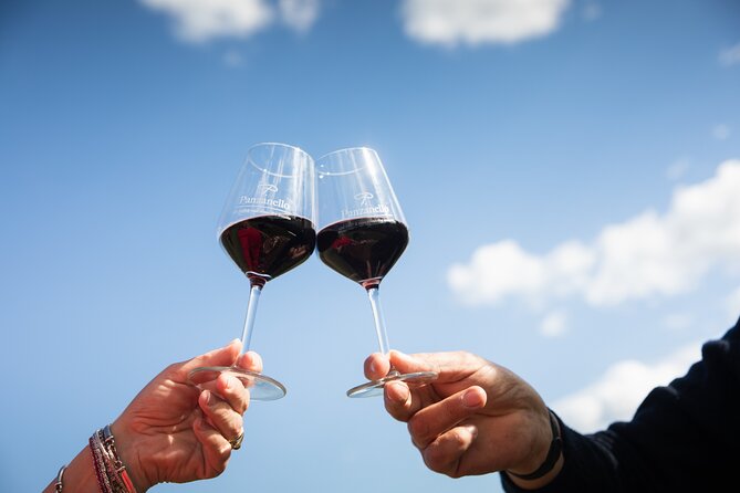 Exclusive lunch, Winery tour, Organic wines in Chianti Classico - Timing, meeting point, and cancellation
