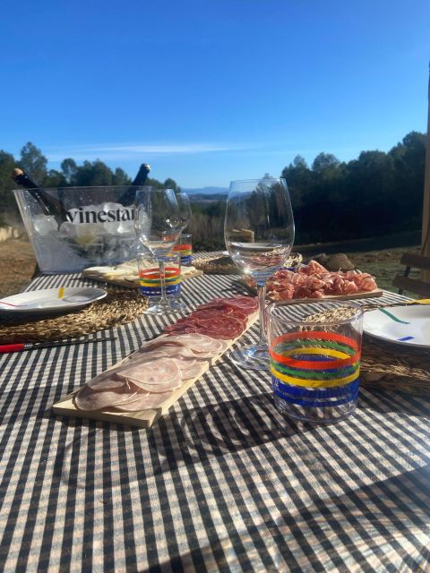 Exclusive Penedes wine tour & brunch in the vineyard - Key points to know before booking