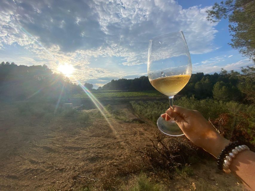 Exclusive Penedes wine tour & brunch in the vineyard - Why Sant Sadurní d’Anoia is the right starting point