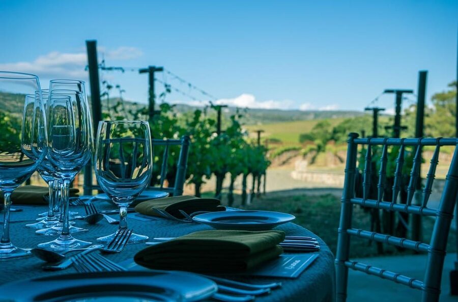 Exclusive Wine Tour: Sardinian Winery + Round-Trip Transfer - Is $91.76 good value?