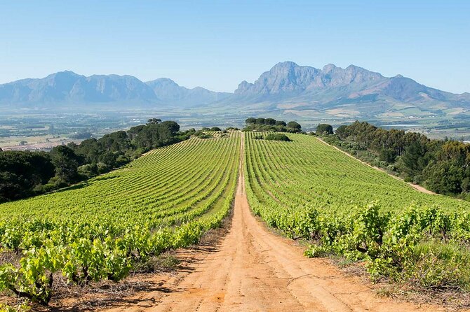 Experience 16 Wine Tasting & 6 Cheese Pairing across 3 Vineyards - Fairview, where wine meets award-winning cheese