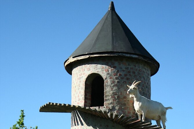 Experience 16 Wine Tasting & 6 Cheese Pairing across 3 Vineyards - Vredenheim, mountain views and a farm-side finish