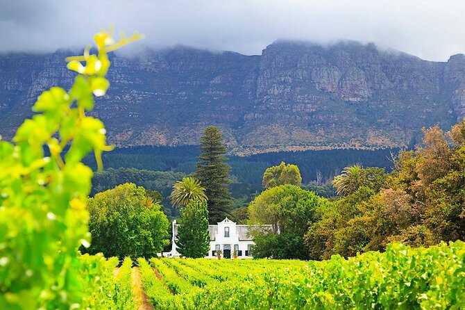 Experience 16 Wine Tasting & 6 Cheese Pairing across 3 Vineyards - What the six to seven hours feel like