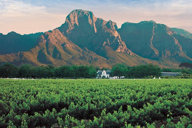 Experience 16 Wine Tasting & 6 Cheese Pairing across 3 Vineyards - What is included, and what you still pay for