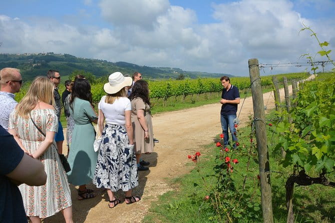 Experience Chianti & Cheese w/ 3 wineries & dairy visit—max 8 pp - The dairy visit brings cheese into the picture