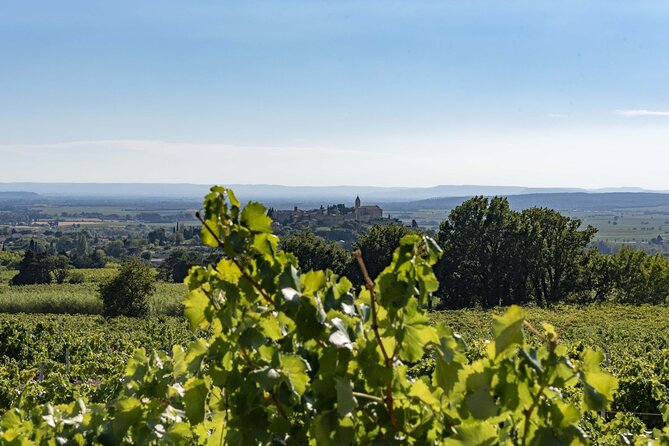 EXPLORATION - Visit of the estate, the cellars & tasting - Key points at a glance