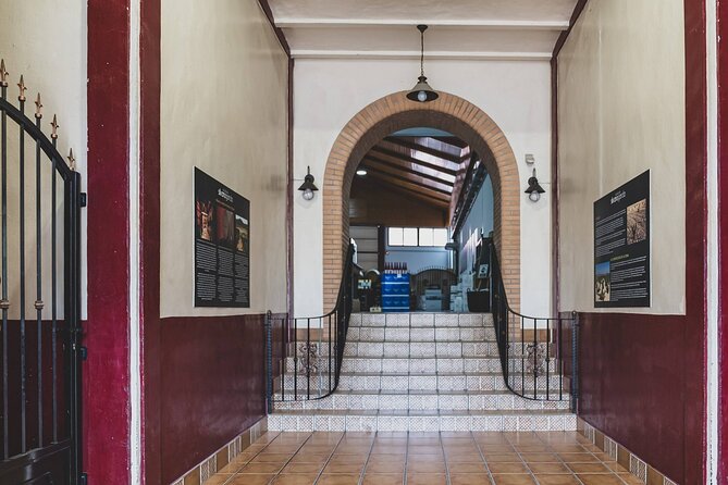 Explore an urban winery and enjoy a Jumilla wine tasting - What this Jumilla winery visit is really about