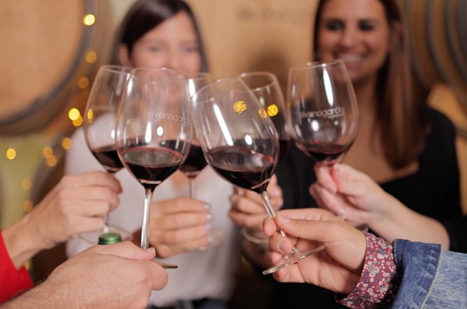 Explore an urban winery and enjoy a Jumilla wine tasting - Who should book this activity