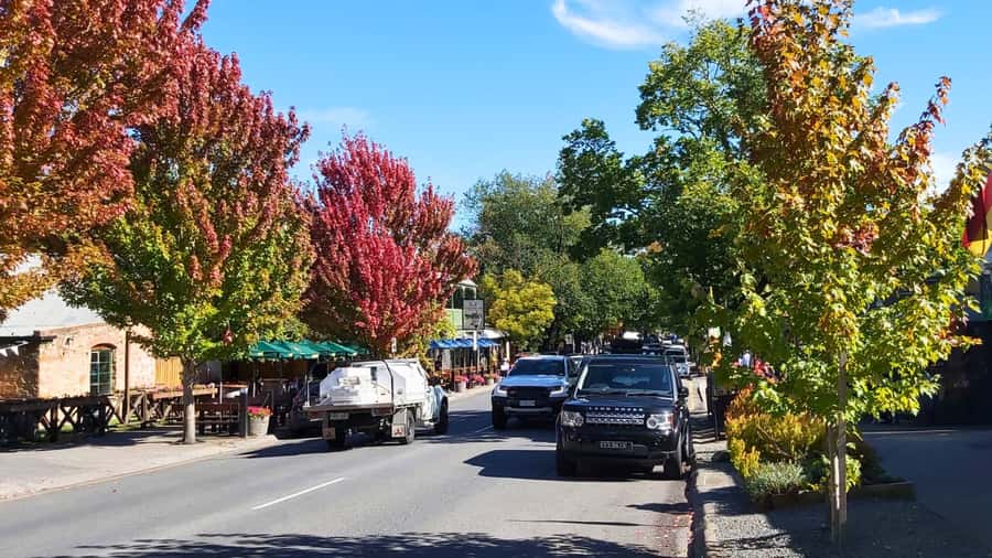 Explore Barossa & Hahndorf (Incl 2 wineries & lunch) - Who should book this day?